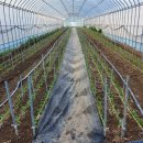 혜은농장 이미지