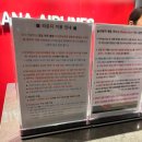 비지니스 - 동구 해수욕장길 8 | 제주공항 아시아나 비지니스 라운지 위치 시설, 제주 서울 비지니스클래스 좌석 후기