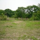 용지파출소 이미지