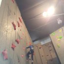 백파태권도장 이미지