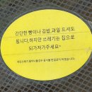 저수지길 | 인천유아체험 추천 | 동물 먹이주기체험 가능한 서창동 피크닉하우스