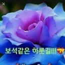 올바른마음