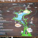 다금 이미지