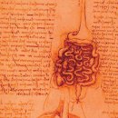 레오나르도 다빈치 과학박물관 이미지