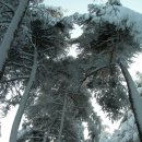 모산봉