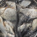 성호로 100 이미지