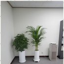 세무회계신록