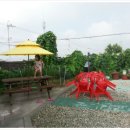 꽃피는민박 이미지