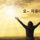 대왕행정사 이미지