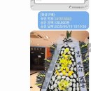 영동읍 대학로 충북 네이버블로그