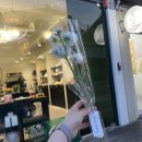 수원-0645 | 수원 행궁동 작은 꽃집 소품샵 다오라