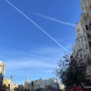 태린약국 이미지