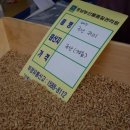 부성상회 이미지