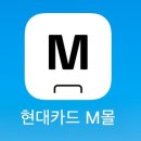 달바 승무원 미스트 내돈내산 후기💸 (현대M포인트몰 구매후기)