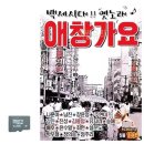 애창 쇼핑하우