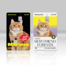 더펫(The Pet) 이미지