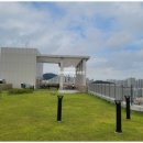 스마트티아모 이미지