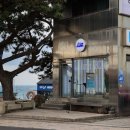 제주 애월 점심 맛집 믿고먹는 오션뷰 피즈애월 후기