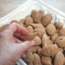 별이농장 이미지