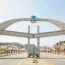 금오메디칼 이미지