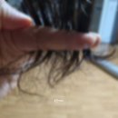 셀프헤어미용 | 셀프 헤어컷 비포 애프터 내가 원했던 스타일로 도전 성공