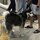 오성노래연습장 이미지