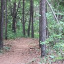 구불6길(달밝음길) 이미지