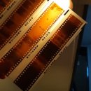 대원양행 이미지