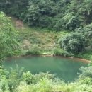 아침햇살염소농장 이미지