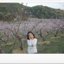문촌4리 이미지