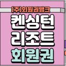 돈사미 이미지