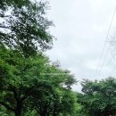 갈기산펜션 이미지