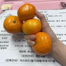 기동농장 | 12월 중순 Log : 먹길만 걷다