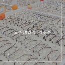 으뜸50안경 약수점 이미지