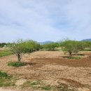 낙동강관리본부 이미지