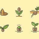 필아트미술학원 이미지