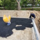 송림초등학교 이미지