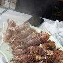 마산 자연산머구리 이미지