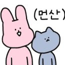 젤리마운틴 이미지