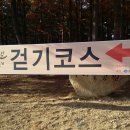 보문호반길 이미지