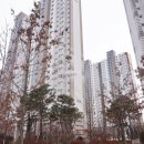 꿀공인중개사사무소 이미지