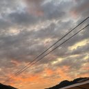 포레스트 월악 이미지