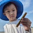 소노벨 변산 이미지