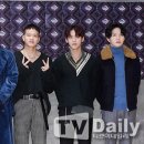 비투나인 티브이데일리