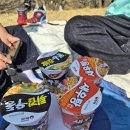 아이체스발산 | 김해 용당나루 매화공원 매화축제 후기, 아이와 가볼만한 봄나들이 명소 추천