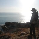 쉼터사슴농장 이미지