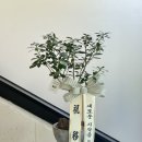 새약손한방병원 이미지