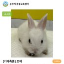 광주TNR동물병원(초월) 이미지