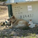 순하농장 네이버블로그