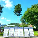 금마초등학교 이미지